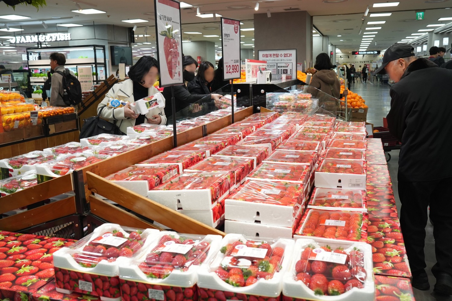 롯데마트·슈퍼, 초신선 ‘새벽딸기’ 판매