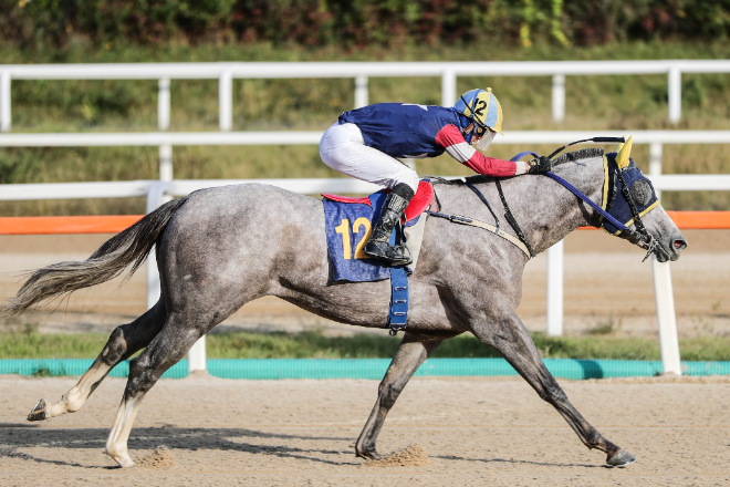 최강 3세마를 향한 첫 걸음...‘제38회 스포츠서울배’ 개최