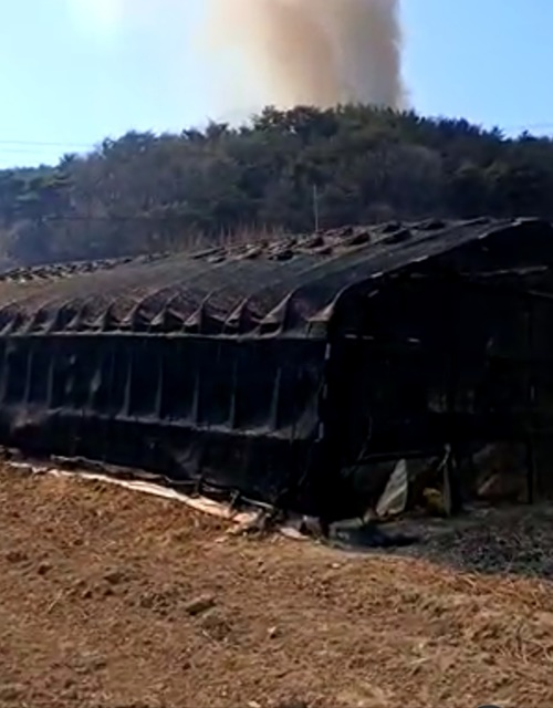 (사진제공=산림청)