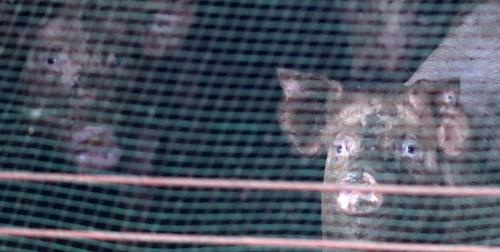 해당 사고와 관련 없음(사진=연합뉴스)