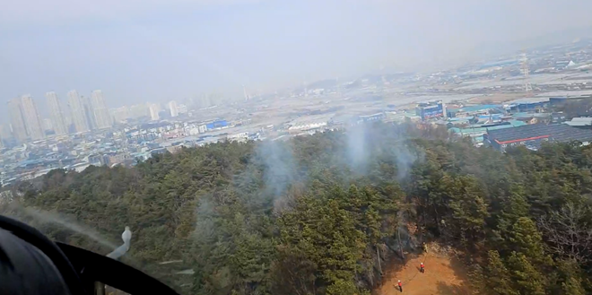 (사진제공=산림청)