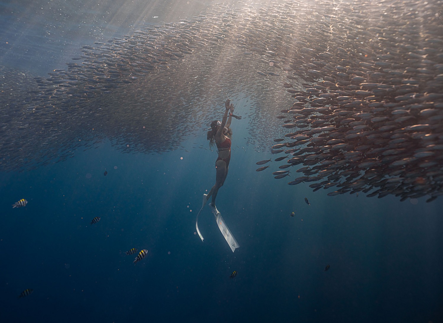 하나투어-고고다이브, 밍글링 투어 선봬
