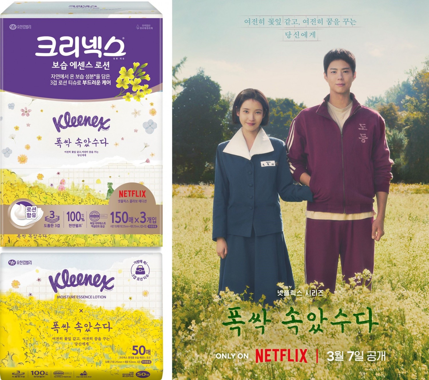 유한킴벌리 크리넥스, 넷플릭스 시리즈 '폭싹 속았수다' 에디션 티슈 선보여