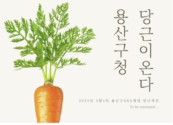 용산구 당근 공공프로필