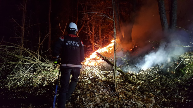 (사진제공=산림청)