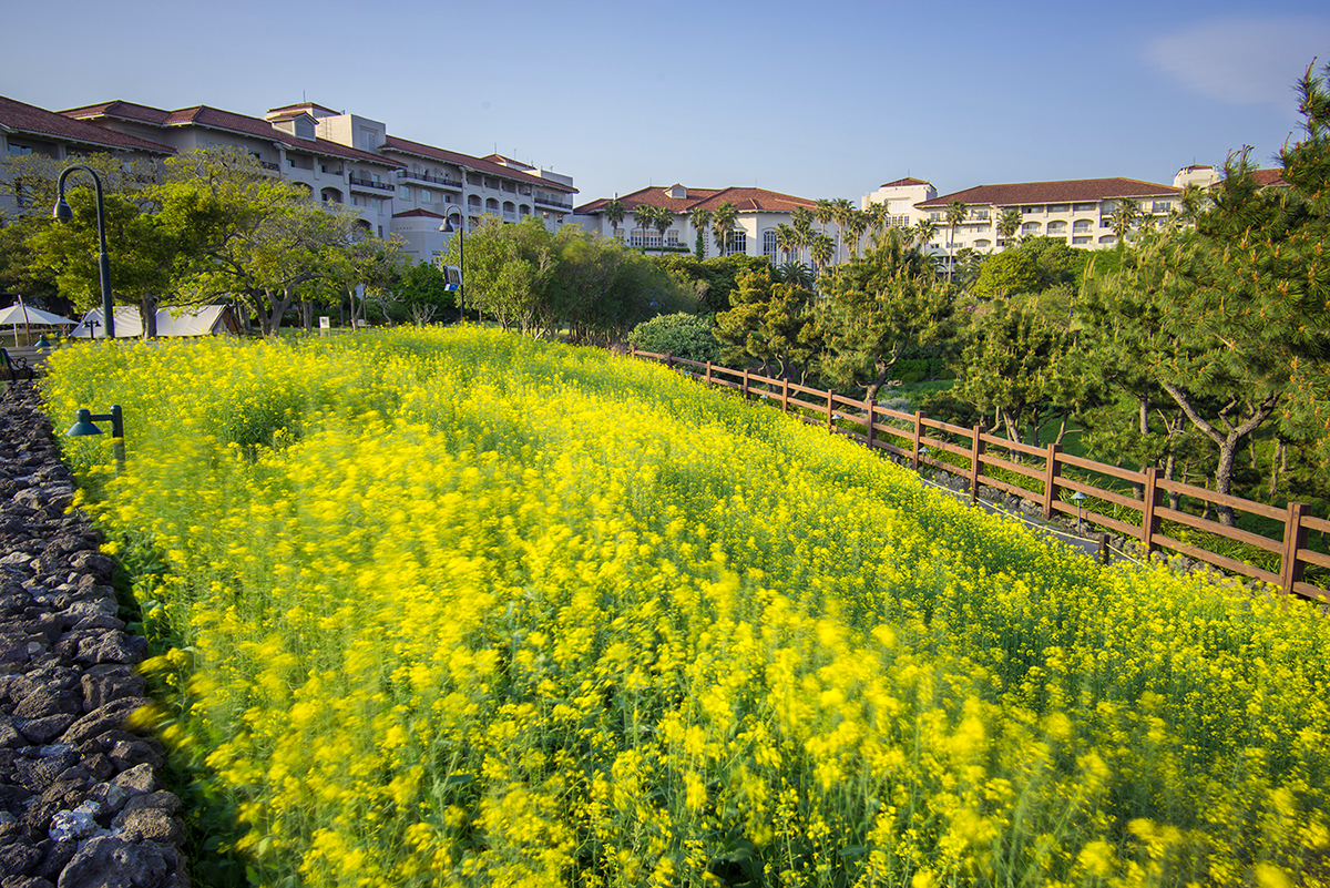 제주신라호텔, ‘패밀리 포토’ 프로그램 출시