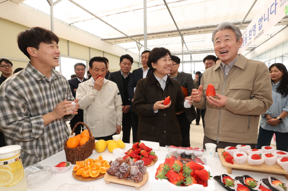 강호동 농협중앙회장(오른쪽 1번째)이 송미령 농림축산식품부 장관(2번째)과 함께 지난 12일 충남 논산시 소재 청년농업인의 스마트팜 농가에서 청년농의 스마트농업 정착에 관해 이야기하고 있다. 사진=농협중앙회