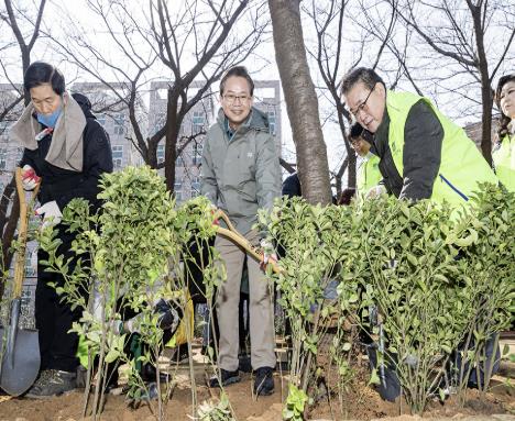 지난해 안양천에서 개최된 나무심기 행사에서 나무를 심고 있는 최호권 영등포구청장