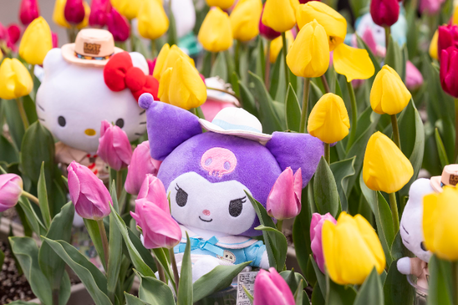 에버랜드, 산리오캐릭터즈 콜라보 '튤립축제' 오는 21일 오픈