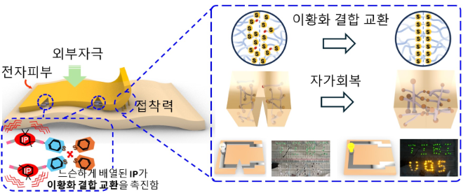 자가 치유 기능을 가진 전자피부의 개략도. 사진=한국연구재단