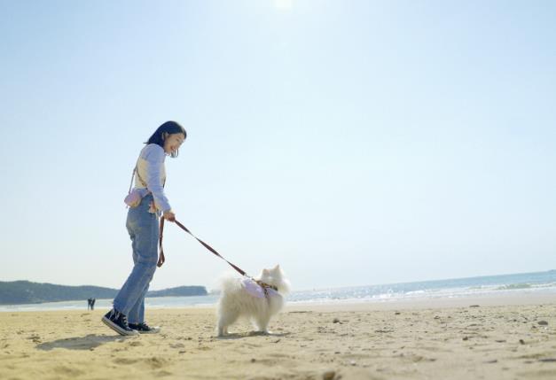 반려동물과 함께 태안 여행을 즐기는 관광객들 모습