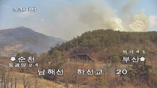 (사진제공=산림청)