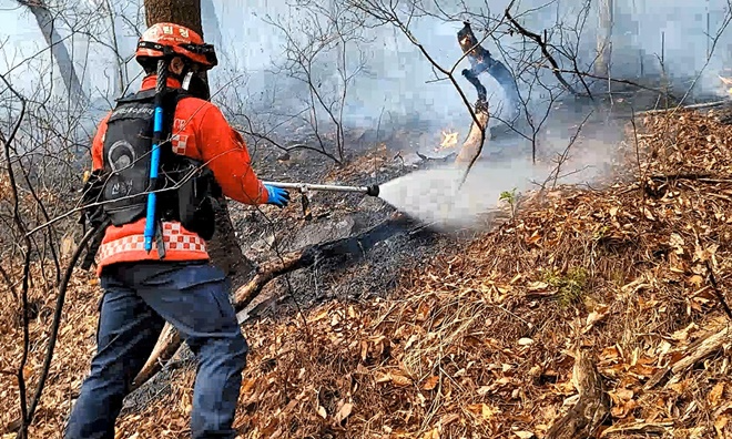 경남 사천 산불진화 하는 산불재난특수진화대 모습.(사진제공=산림청)