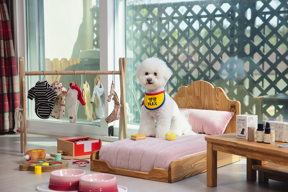 켄싱턴리조트 설악밸리·충주, 국제 강아지의 날 맞아 반려견 맞춤 이벤트 실시