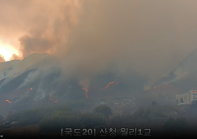 (사진제공=산림청)