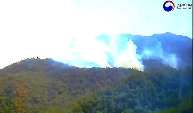 (제공=산림청)