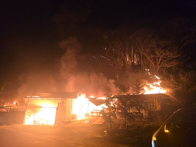 (사진제공=산림청)