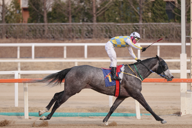 지난 23일 동아일보배 우승한 '글라디우스'와 장추열 기수. 사진=마사회