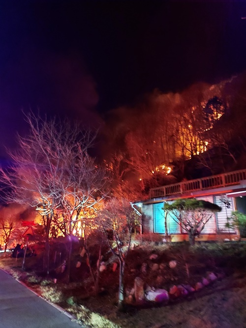 (사진제공=산림청)