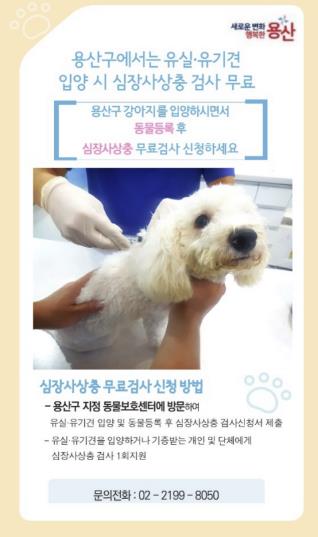 용산구 유실·유기견 심장사상충 검사 포스터