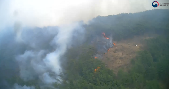 (사진제공=산림청)