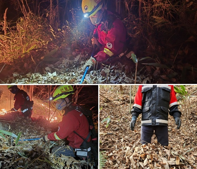 (사진제공=산림청)