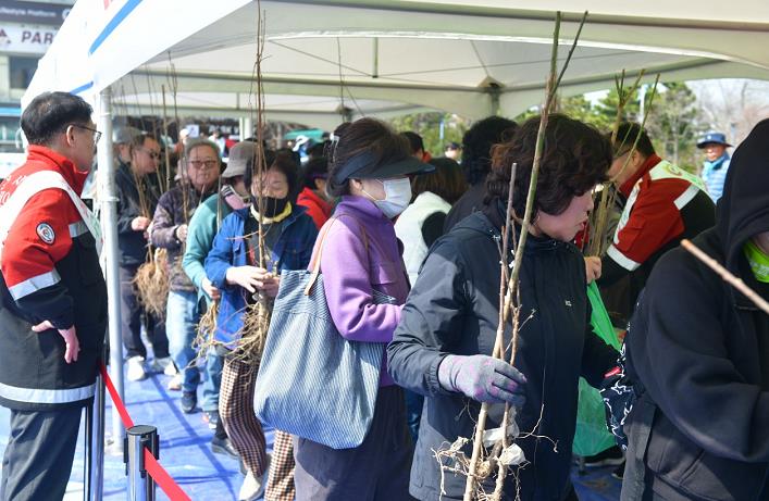 지난해 나무 나누어주기 행사 사진