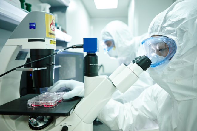 고려대 백신혁신센터, 신증후군출혈열 임상시험용 mRNA 백신 개발 '청신호'