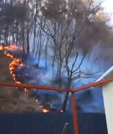 (사진제공=산림청)