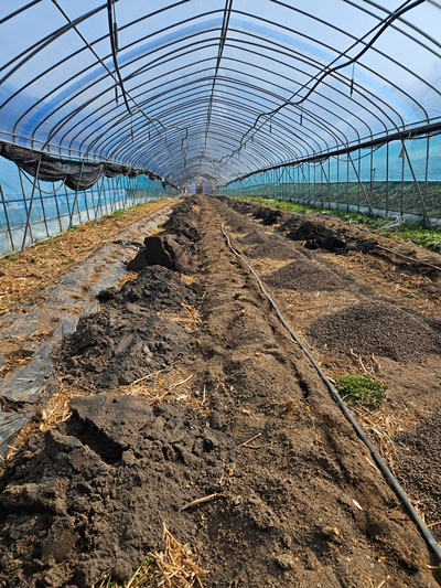 농촌지원 집행 현장.(제공=원주준법지원센터)