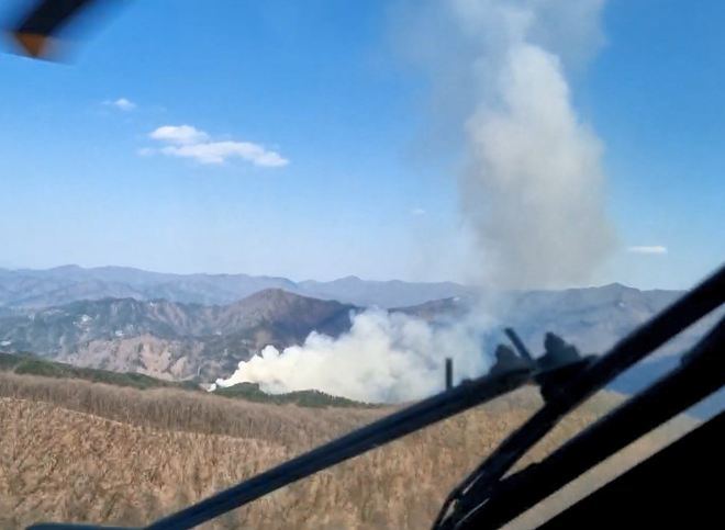 (사진제공=산림청)
