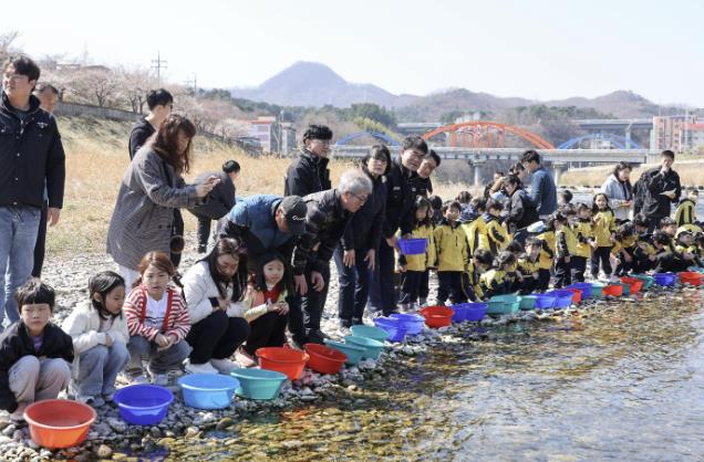 어린연어 방류