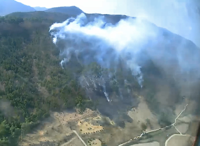 (사진제공=산림청)