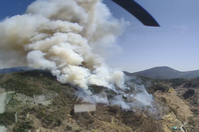 (사진제공=산림청)