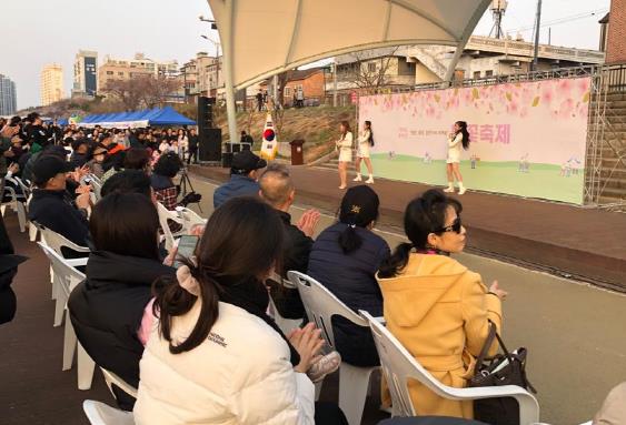 평택시 ‘제1회 통복천 벚꽃축제’ 성황