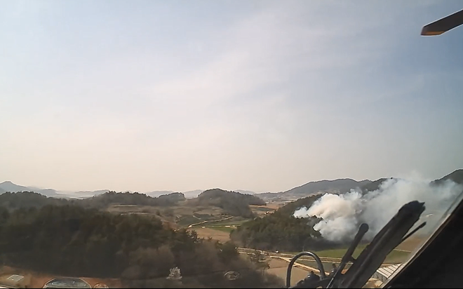 (사진제공=산림청)