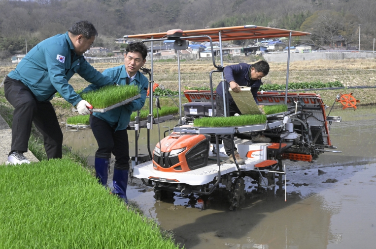 순창군, 올해 첫 모내기 시작