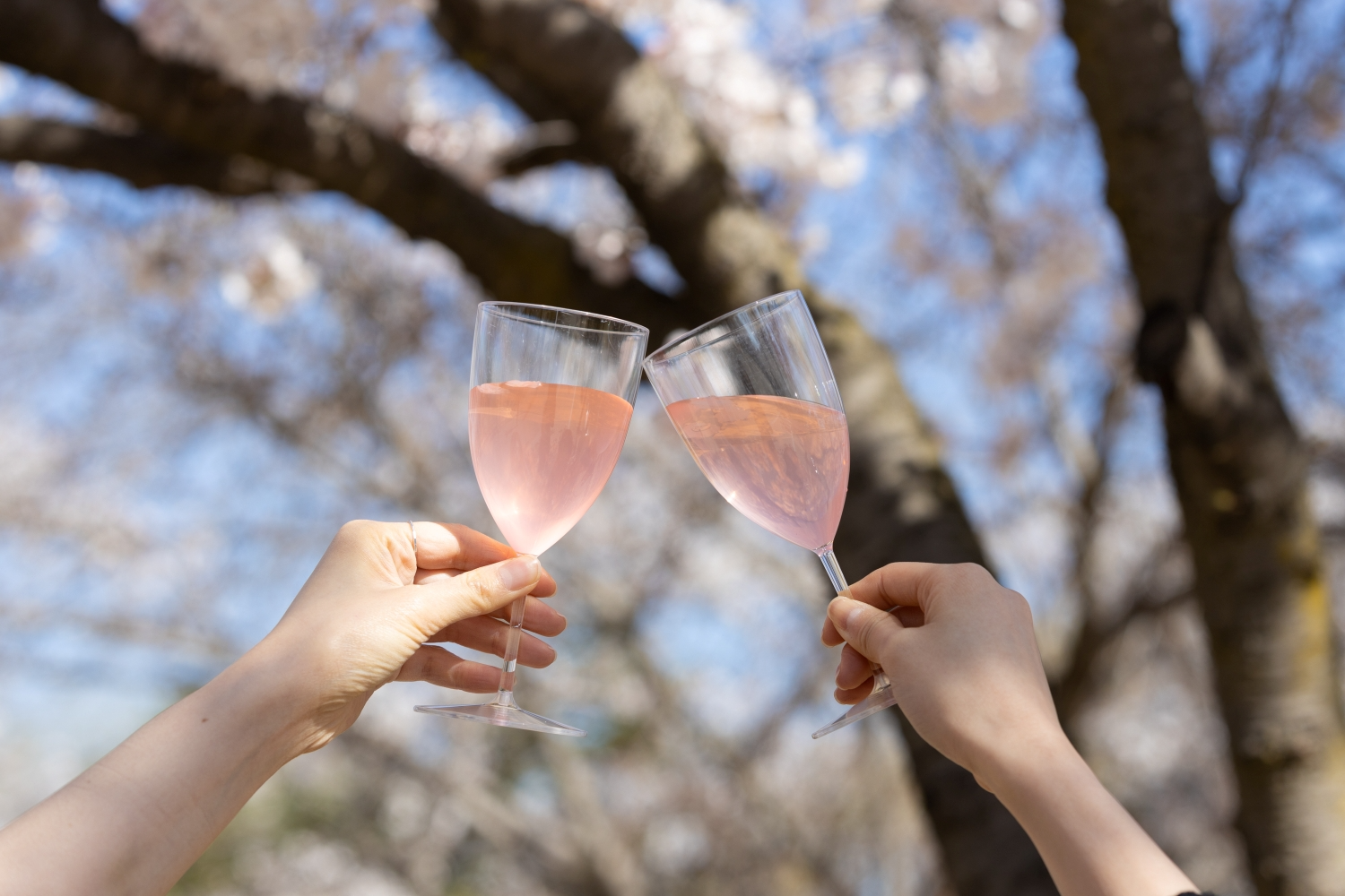 이랜드파크, 켄싱턴호텔 여의도 ‘여의도 봄꽃여행’ 패키지 출시