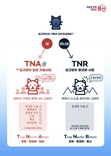용산 길고양이 입양 지원 사업(TNA, Trap-Neuter-Adopt)