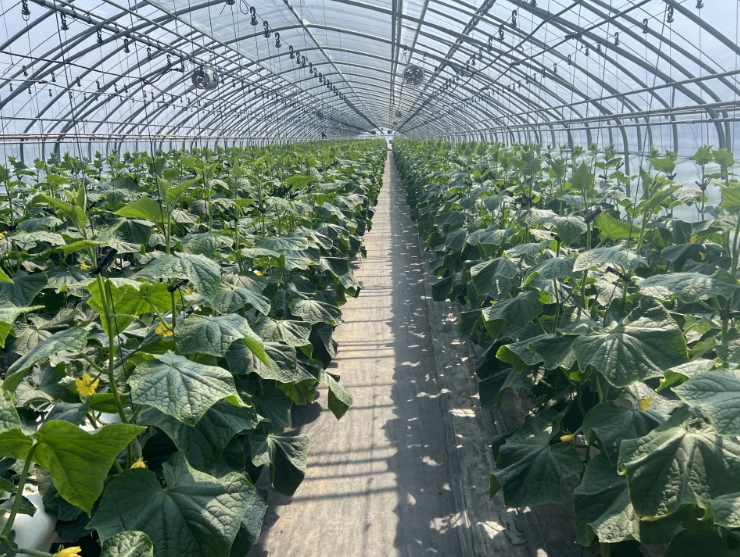 ‘농작물재해보험’ 신청하세요!