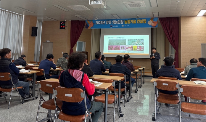 2025 양파 영농현장 농업기술컨설팅’ 성료