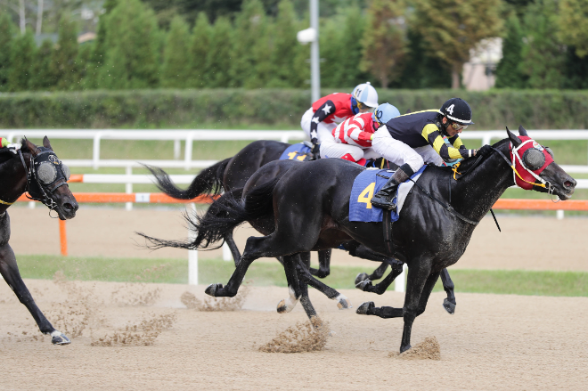 스테이어 시리즈 두 번째 관문 '제24회 YTN배'..."한일 격돌 예상"