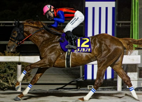 스테이어 시리즈 두 번째 관문 '제24회 YTN배'..."한일 격돌 예상"