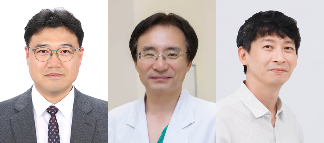 (왼쪽부터) 서울아산병원 의생명연구소 전은성 교수·간담도췌외과 김송철 교수, KAIST 바이오및뇌공학과 최정균 교수. 사진=서울아산병원