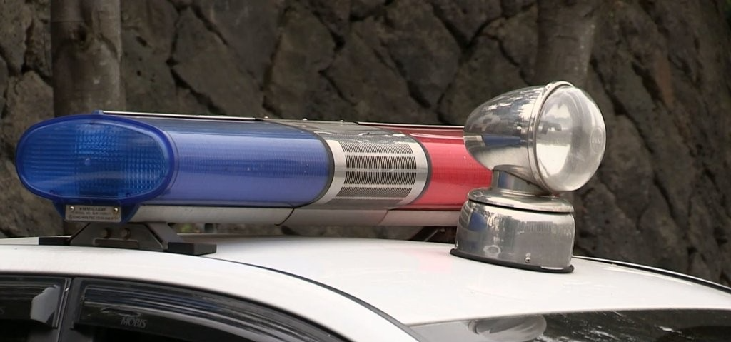 경찰차 사이렌(사진=연합뉴스)