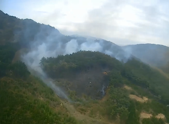 (사진제공=산림청)