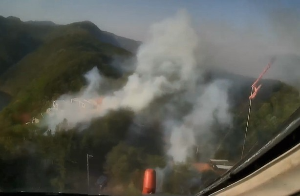 (사진제공=산림청)