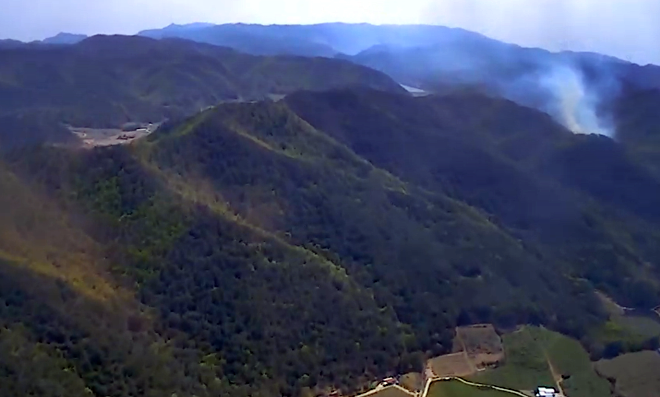 (사진제공=산림청)