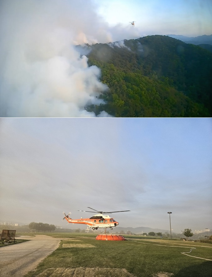 (사진제공=산림청)