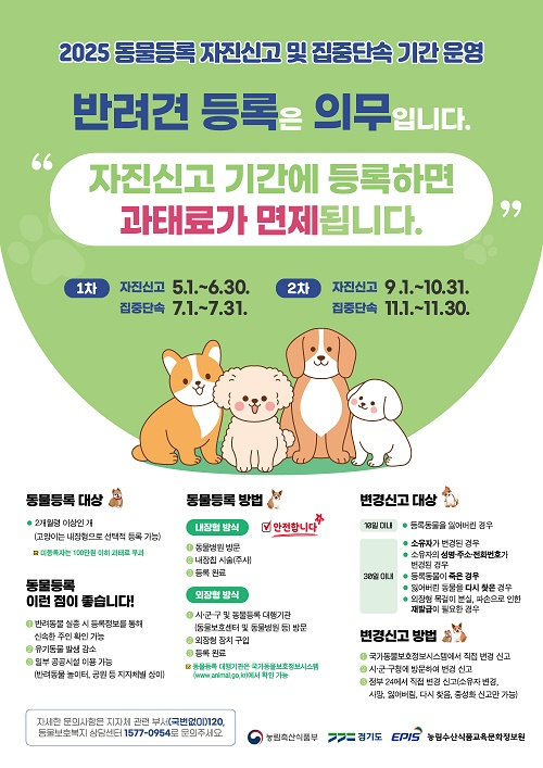 홍보물